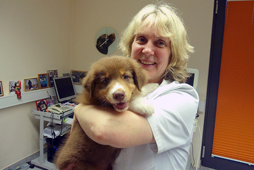 Dr. Beate Zimmermann mit einem Hund in der Praxis